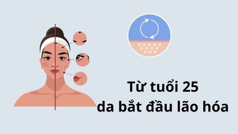Từ tuổi 25 da bắt đầu lão hoá