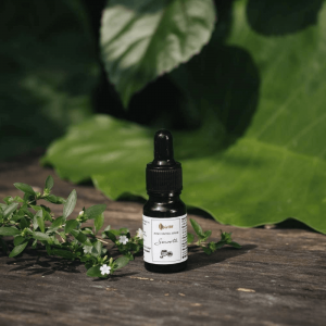 Serum Smooth Hạt Cối Xay - Giảm Mụn Lành Da